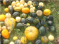 84355924-tikve 3.JPG